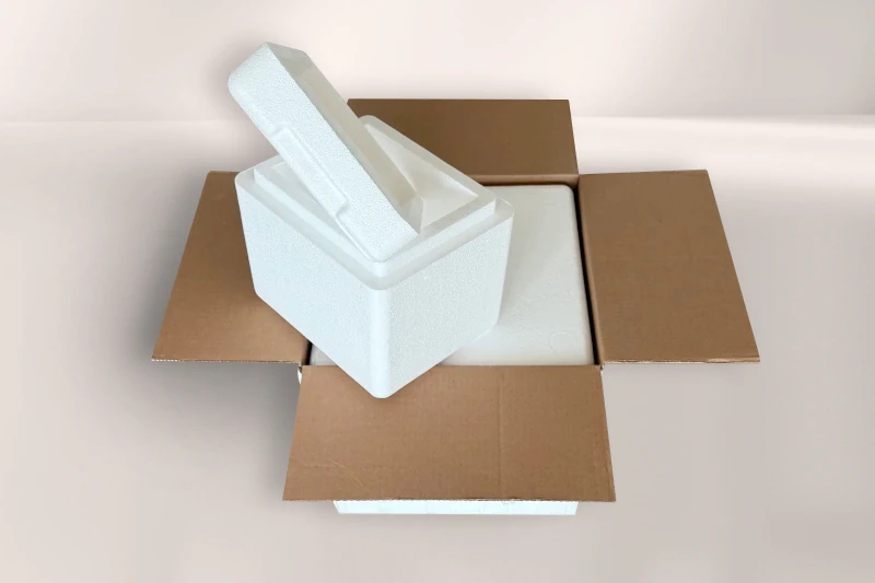 EPS cooler with box